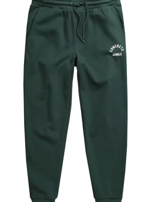 Foto van product Men Plus Broek donkergroen
