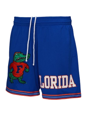 Foto van product Mitchell & Ness Sportbroek blauw / groen / rood