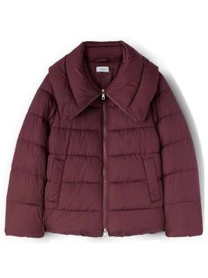 Foto van product MOTIVI Winterjas bordeaux