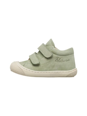 Foto van product NATURINO Sneakers 'COCOON VL' groen