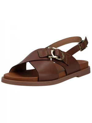 Foto van product Nero Giardini Sandalen met riem bruin