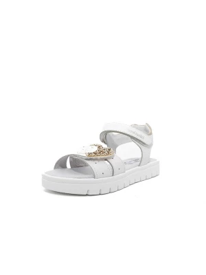 Foto van product Nero Giardini Sandalen 'Wolke Indo Sea Chile' goud / grijs