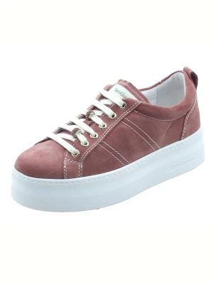 Foto van product Nero Giardini Veterschoen 'Nero Giardini Sneakers Donna E615310D Velour Rosa-Antico pelle rosa' rosa