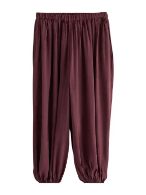 Foto van product Next Broek cyclaam