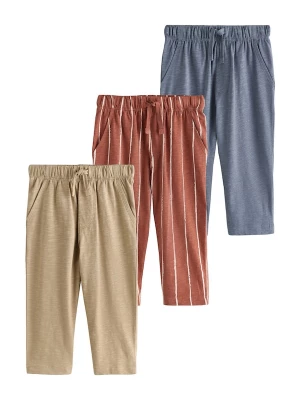 Foto van product Next Broek smoky blue / roestbruin / aardetinten