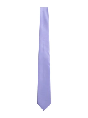 Foto van product Next Stropdas violetblauw / wit