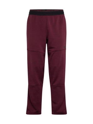 Foto van product NIKE Sportbroek 'Pro' bordeaux