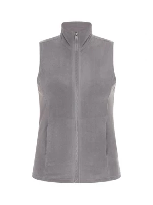 Foto van product nolie Bodywarmer grijs