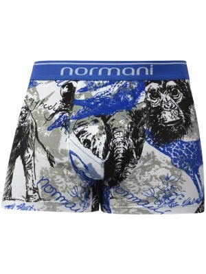 Foto van product normani Boxershorts blauw / grijs / zwart / offwhite
