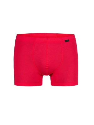 Foto van product Olaf Benz Boxershorts ' RED1601 Casualpants ' knalrood
