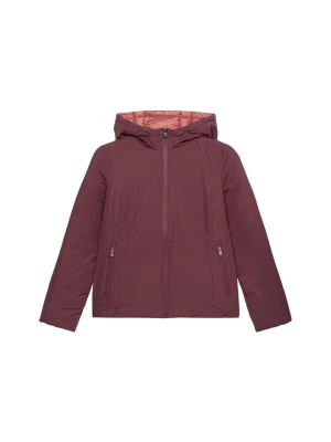 Foto van product oltre Winterjas bordeaux