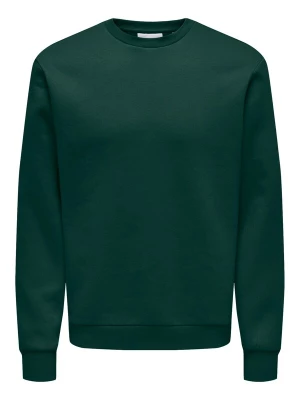 Foto van product Only & Sons Sweatshirt 'ONSCERES' spar