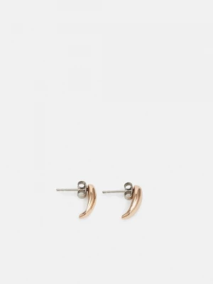 Foto van product Oorbellen Skagen