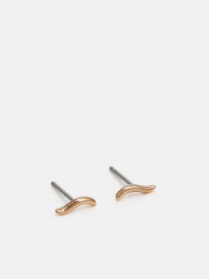 Foto van product Oorbellen Skagen goudkleurig