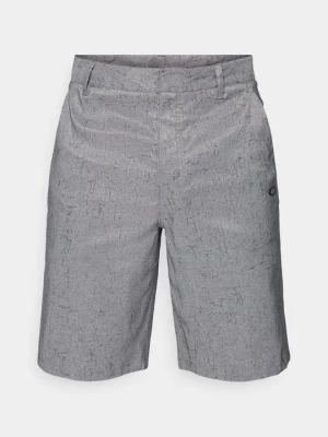 Foto van product Outdoorshorts Oakley grijs