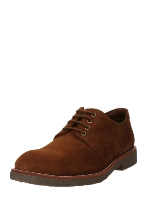 Foto van product PANAMA JACK Veterschoen 'Gante C5' bruin