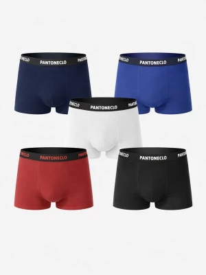 Foto van product PANTONECLO Boxershorts 'Pantoneclo Men’s Boxer Underwear-10 Pcs Pack' gemengde kleuren