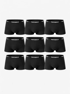 Foto van product PANTONECLO Boxershorts 'Pantoneclo Men’s Boxer Underwear-10 Pcs Pack' zwart