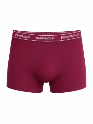 Foto van product PANTONECLO Boxershorts 'Pantoneclo Men’s Boxer Underwear' bourgogne