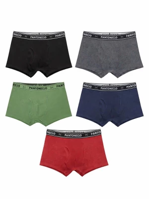 Foto van product PANTONECLO Boxershorts 'Pantoneclo Men’s Boxer Underwear' gemengde kleuren