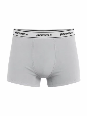 Foto van product PANTONECLO Boxershorts 'Pantoneclo Men’s Boxer Underwear' grijs