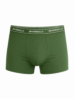 Foto van product PANTONECLO Boxershorts 'Pantoneclo Men’s Boxer Underwear' groen