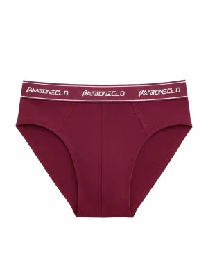 Foto van product PANTONECLO Slip 'Pantoneclo Men’s Boxer Brief Underwear' bourgogne