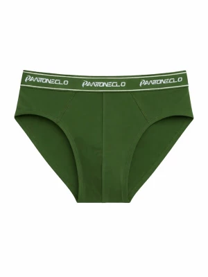 Foto van product PANTONECLO Slip 'Pantoneclo Men’s Boxer Brief Underwear' groen