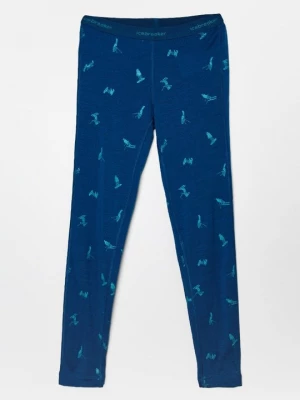 Foto van product Panty Icebreaker blauw