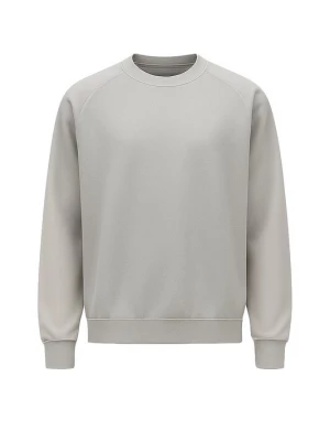 Foto van product PCFG Sweatshirt lichtgrijs