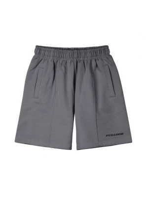 Foto van product Pegador Broek grijs