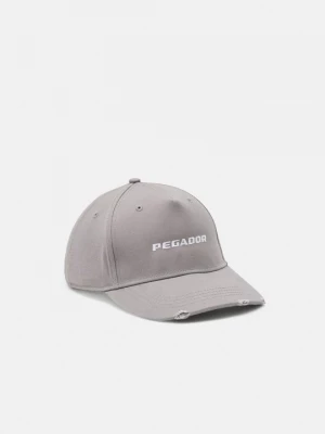 Foto van product Pet Pegador grijs