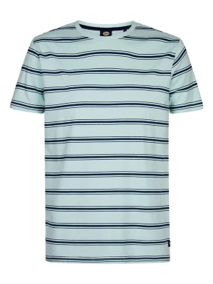Foto van product Petrol Industries Shirt navy / lichtblauw