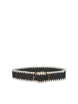 Foto van product PIECES Riem zwart