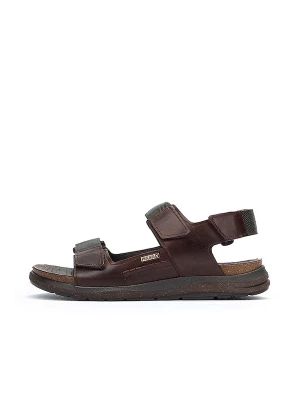 Foto van product PIKOLINOS Sandalen 'Nijar' donkerbruin / aardetinten