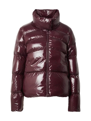 Foto van product PINKO Winterjas 'MIRCO' wijnrood