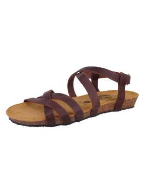 Foto van product Plakton Sandaal donkerbruin