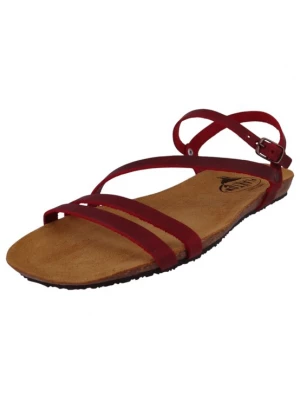 Foto van product Plakton Sandalen met riem bourgogne