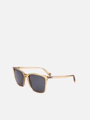 Foto van product Polaroid Zonnebril 'Polaroid PLD 6226 / S Havana / 17 / 140 Women Sunglasses' beige