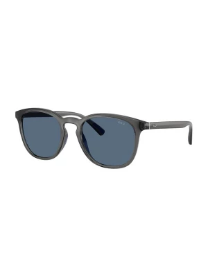 Foto van product Polo Ralph Lauren Zonnebril '0PH4222U' donkergrijs
