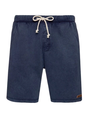 Foto van product PROTEST Broek 'CARVER' blauw