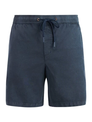 Foto van product PROTEST Broek 'PRTNivel' blauw