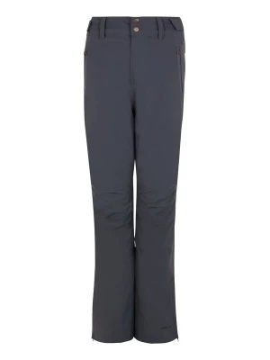Foto van product PROTEST Sportbroek 'CINNAMON' grijs