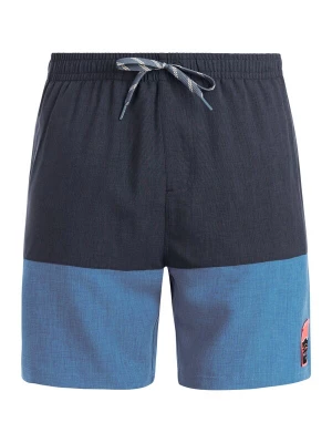 Foto van product PROTEST Zwemshorts 'PRTCabus' smoky blue / donkerblauw