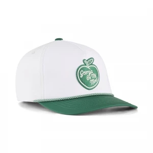 Foto van product PUMA 30904 Rope golfpet voor Heren, Groen