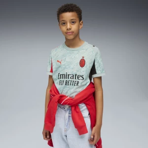 Foto van product PUMA AC Milan 25 / 26 keepersshirt, Rood