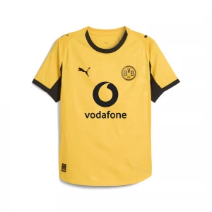 Foto van product PUMA Borussia Dortmund 25 / 26 Authentic Cup voetbalshirt voor Heren, Zwart / Geel