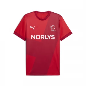 Foto van product PUMA Deense handbalbond 24 / 25 thuisshirt voor Heren, Rood