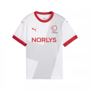 Foto van product PUMA Deense handbalbond 24 / 25 uitshirt, Grijs / Wit