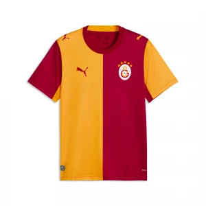 Foto van product PUMA Galatasaray S.K. 26 / 27 thuisshirt voor Heren